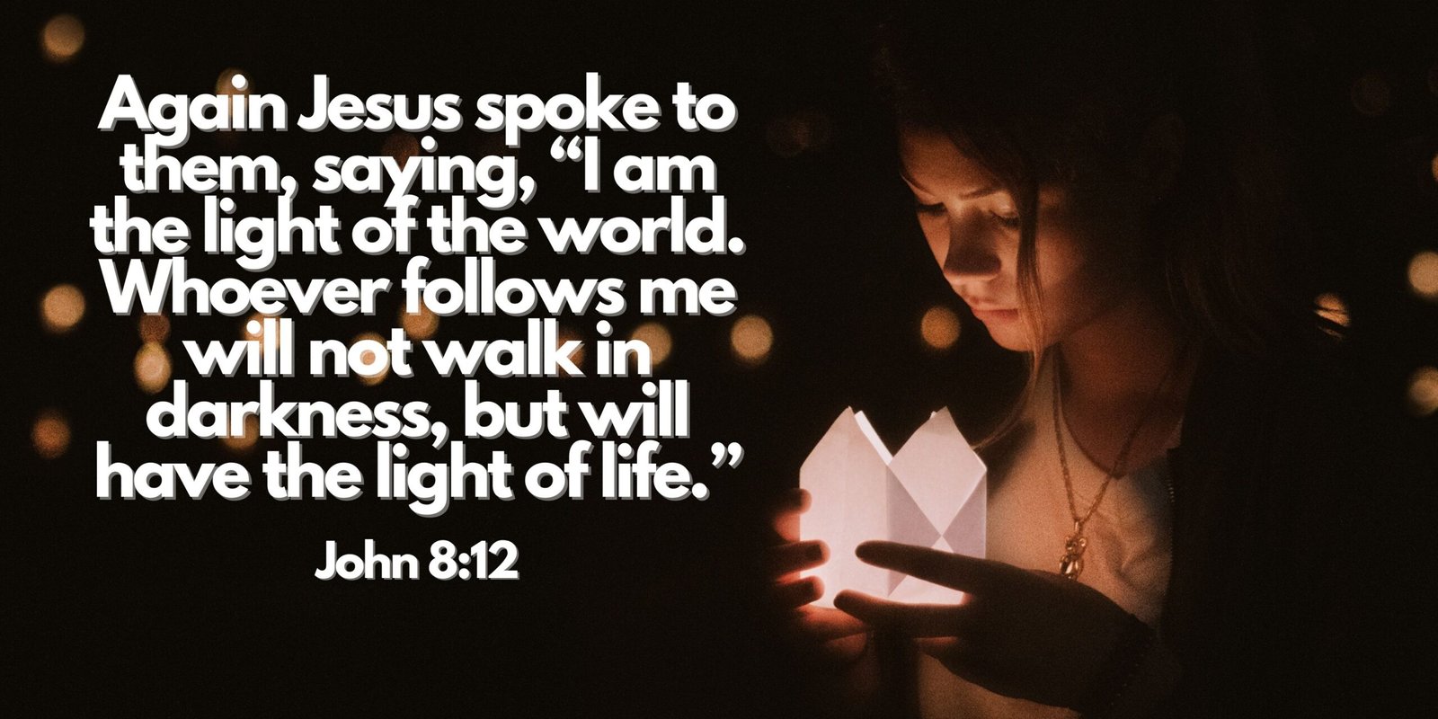 John 8:12 the light of life